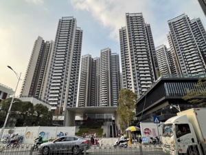 无人机拍照取证被击落，深圳“日光”高端盘为何遭900余位业主集体控诉？