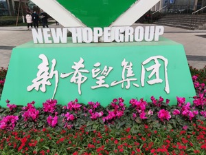 新希望拟定增募资45亿元 刘永好两年内真金白银注资或超130亿