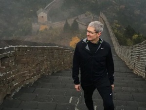 地表最强工资？苹果CEO库克2021年薪酬曝光，超6亿人民币！