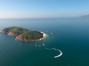 自然资源部副部长王宏：构建陆海空间保护开发新格局 加强滨海生态保护国际合作