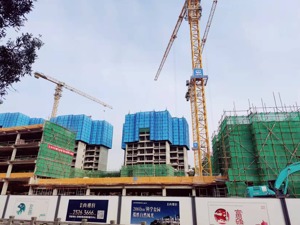 353套房源10天仅认购1套！？每经实探深圳2022年首个新盘：周边基础配套薄弱，价格比附近楼盘高近5000元