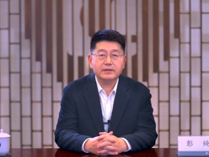 中投公司董事长彭纯：金融市场脆弱性进一步上升
