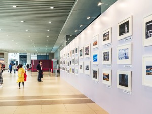 陕西文化交易所执行董事王媛：公开透明、大众参与是健康的艺术金融市场应该具备的两大特点