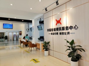 成都都江堰市：构建“1+11+9+166+N”便民体系 推进政务服务事项就近可办