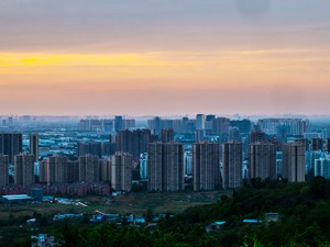 成都市龙泉驿区：“一事一次办”改革 答好“便民利企”赶考卷