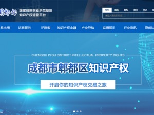 成都市郫都区：知识产权保护“一件事”集成服务