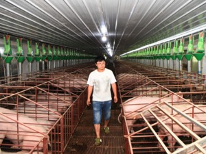 担心“猪贱伤农”？农业农村部：2021年生猪养殖依然是丰收年 每出栏一头仍有564元利润