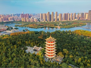 全市人口300多万，GDP增速为0％！省委书记发话：已到“退无可退、背水一战”的当口