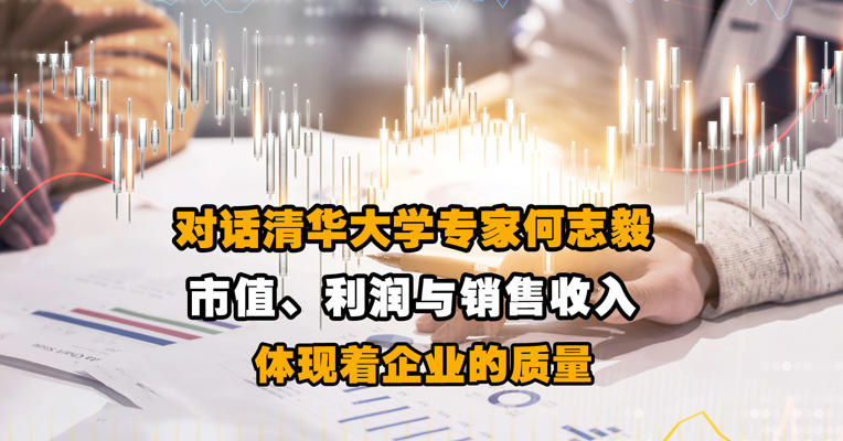 对话清华大学专家何志毅：市值、利润与销售收入体现着企业的质量