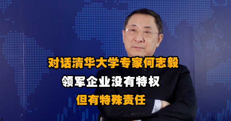 对话清华大学专家何志毅：领军企业没有特权 但有特殊责任
