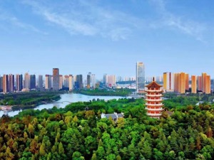 GDP零增长，真·蚌埠住了？