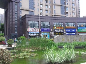 去年单价12万今年7.3万 杭州的“顶流”学区房也不香了？