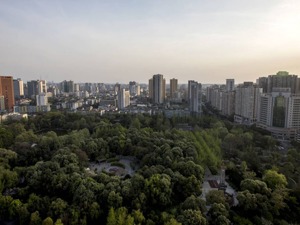 成都市生态环境局局长张军：全力推进绿色低碳优势产业集群发展助力公园城市示范区建设