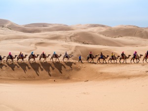 “梦想”破灭，“英雄”变了 顾地科技申请子公司破产清算