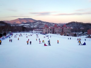 观冬奥·向未来丨复星旅文：冰雪服务业有巨大市场潜力 但产业投资忌盲目跟风