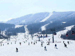 冰天雪地也是金山银山！ 年轻人热捧、冬奥会助力，揭秘万亿冰雪赛道火热生意经