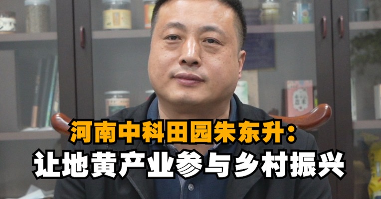 新春走基层∣河南中科田园朱东升：让地黄产业参与乡村振兴