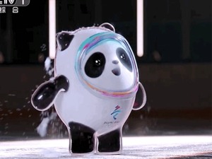 难抢的不止“冰墩墩”，还有概念股！多数特许生产商2000万准入，部分已获产业资本加持