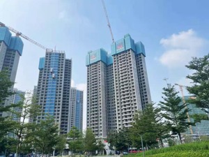 深圳二手房指导价落地周年：学区房骤冷 业主“坐地起价”再难出现