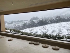 每经记者新春走基层｜一杯浙江“网红茶”背后的科技范：生产加入区块链，营销推广上抖音