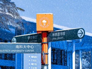 最新“双一流”高校版图，谁是真正的“高教强省”？