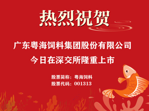 广告