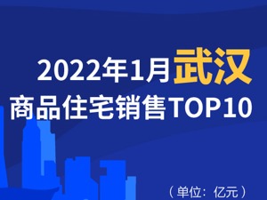 2022年1月武汉商品住宅销售TOP10