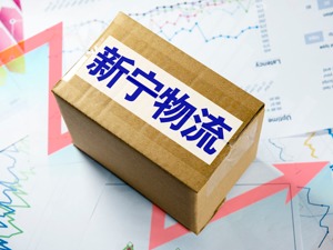新宁物流与两股东各执一词 临时股东大会黄了？