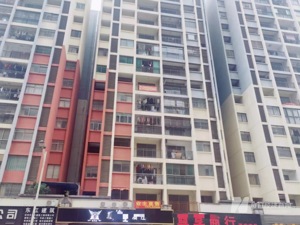 供应腰斩、成交骤降，深圳客说没就没，临深开发商们慌了