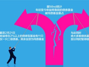 债基业绩分化 部分产品跌超10%