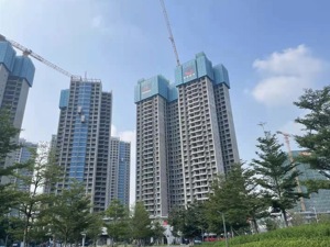 政策怎么调？房企怎么办？即将全面开启的2022年首轮集中供地有什么看头？