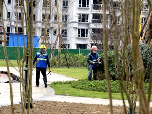 房企“保交楼”进行时，恒大、蓝光成都金堂项目年后顺利复工