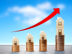 郭树清：不希望房地产市场调整太剧烈