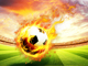 23812542.thumb_hs