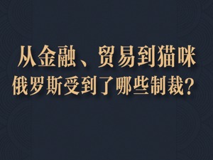 从金融到猫咪，俄罗斯受到了哪些制裁？