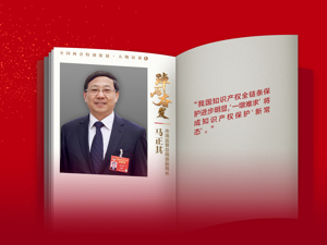 每经专访市场监管总局原副局长马正其：统一行政执法标准和司法裁判标准，“一墩难求”将成为中国知识产权保护“新常态”