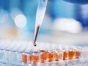 君实生物拟定增募资不超39.8亿元，用于创新药研发及上海总部建设