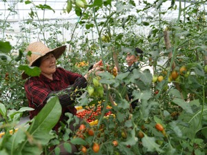 每经专访全国人大教科文卫委员会委员程恩富：共同富裕也是基础性的教育等民生服务公益化、均等化