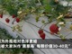 Cxpmrhxliy1646804067643.thumb_hs