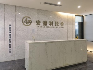 直击安德利临时股东会：管理层现多项人事变动，南孚电池背景高管进驻