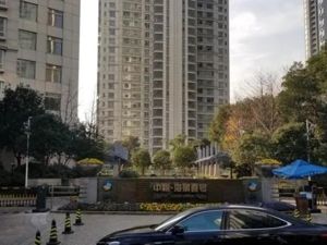近600平米，单价30万，总价1.8亿！曾被千万悬赏的上市公司董事长，名下豪宅拍出了天价