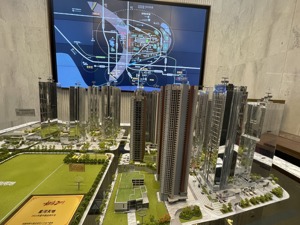 每经品房｜均价超10万元/平！2月深圳豪宅逆市热销，98%房源来自这个片区