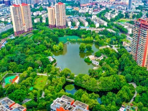 成都青白江： “双碳”目标下探索公园城市示范区建设