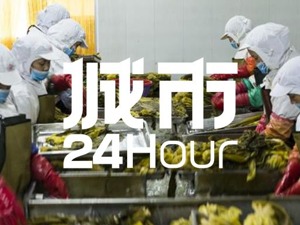 城市24小时 | 老坛酸菜翻车，中部小县“受伤”
