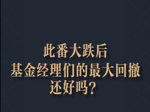 此番大跌后 基金经理们的最大回撤还好吗？