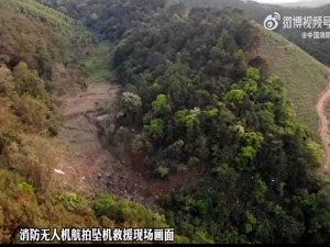 最新！消防无人机航拍坠机救援现场画面曝光，东航停飞全部737-800客机，多家险企启动重大突发事件应急响应