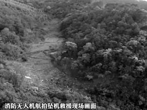 习近平对东航客机坠毁作出重要指示