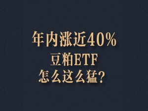 年初以来涨近40%，豆粕ETF为啥这么猛？