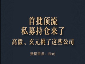 首批顶流私募持仓来了 高毅、玄元挑了这些公司