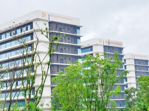 四川省首个国家级产业创新中心落户成都高新区